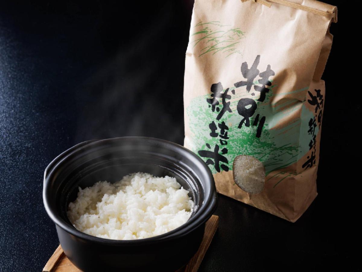 Ryokan Kigusuriya Nantan Kültér fotó