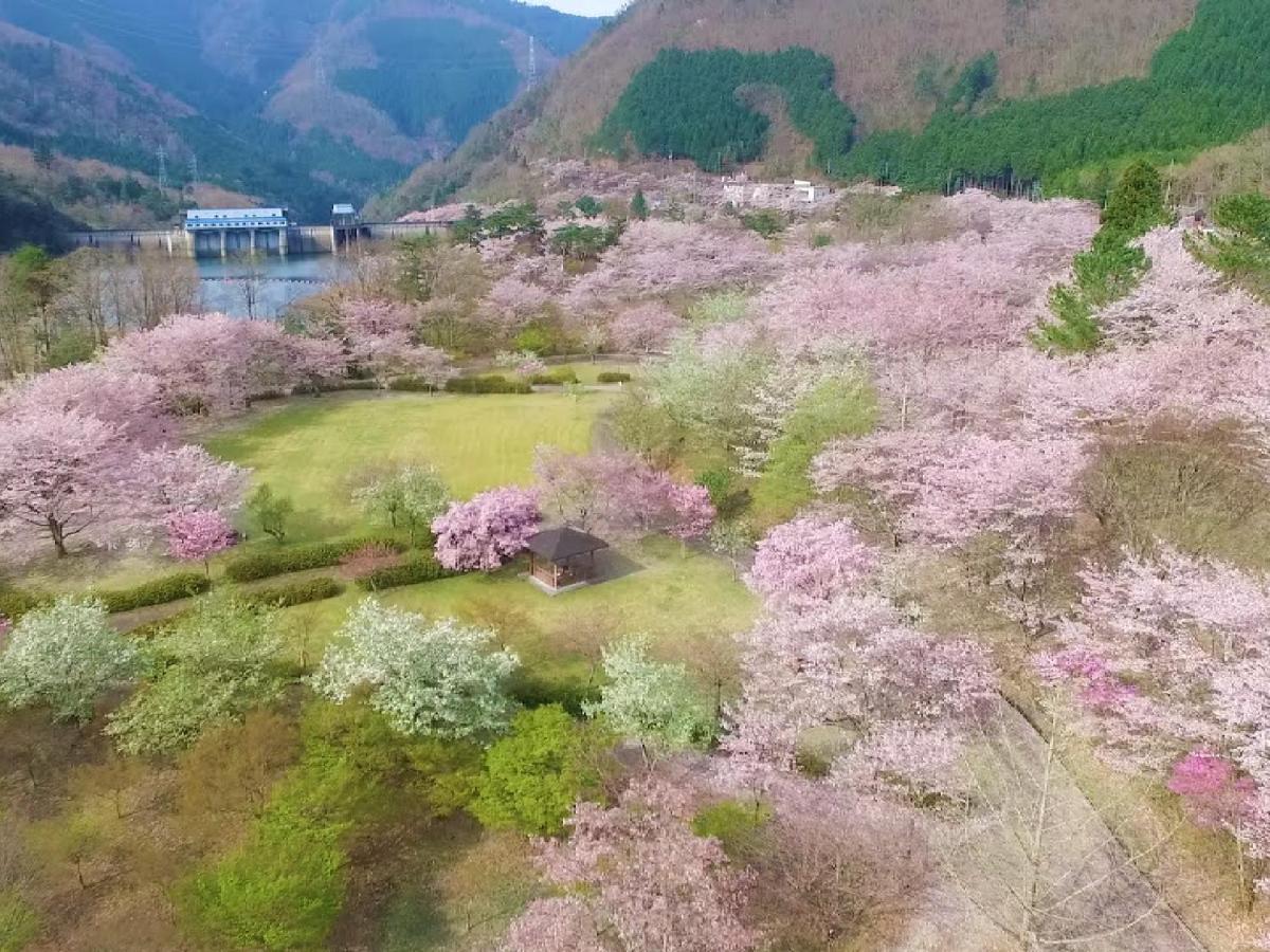 Ryokan Kigusuriya Nantan Kültér fotó